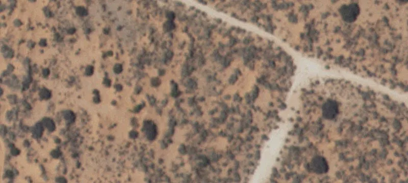 Clint, TX 79836