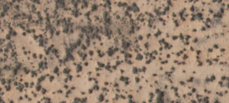 Clint, TX 79836