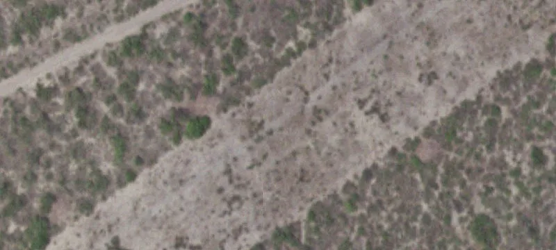Christine, TX 78012