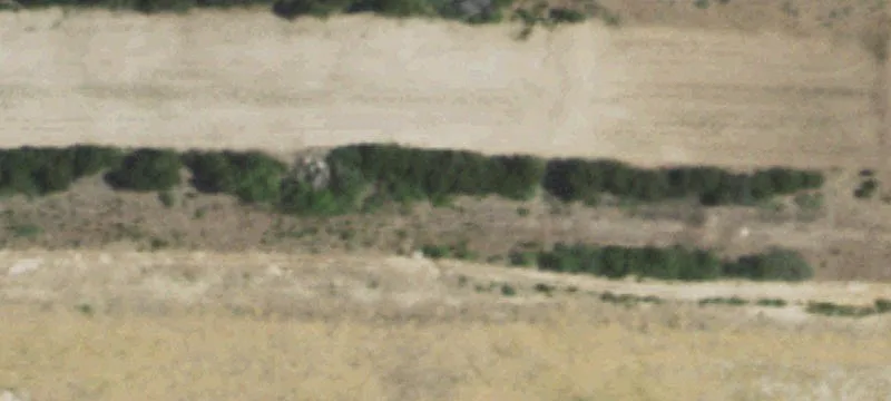 Tuscola, TX 79562