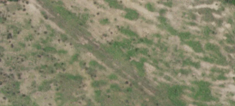 Christine, TX 78012