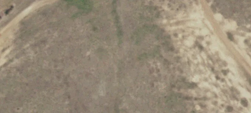 Christine, TX 78012
