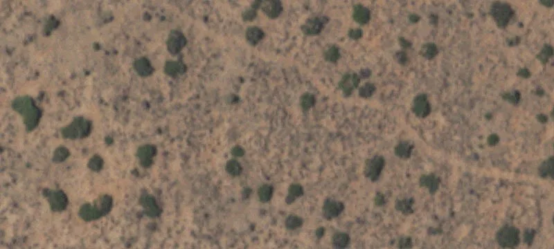 Clint, TX 79836