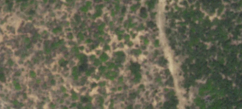 Christine, TX 78012