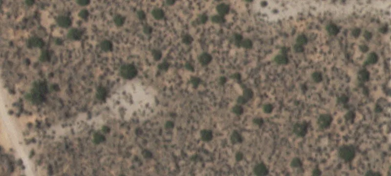 Clint, TX 79836