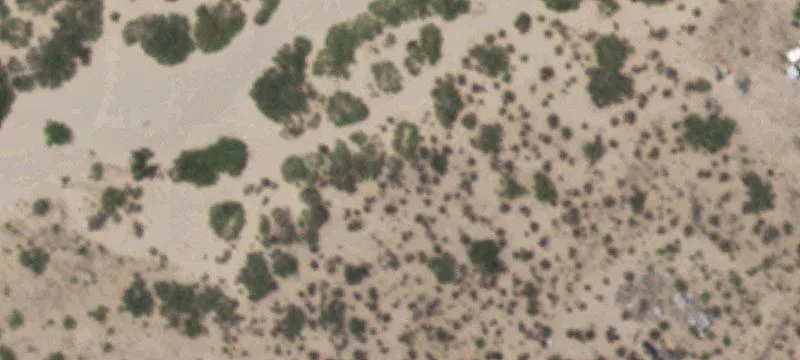 Tornillo, TX 79853
