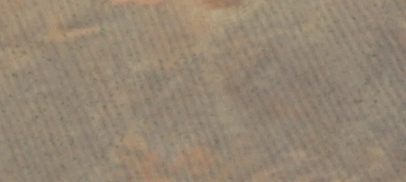 Tye, TX 79563