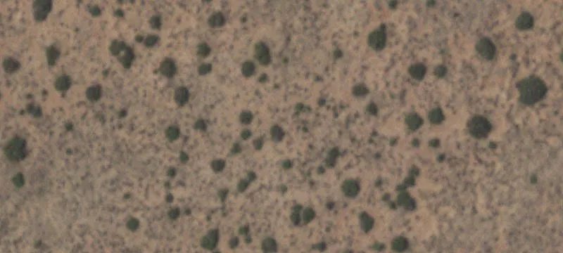 Clint, TX 79836