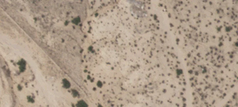 Tornillo, TX 79853