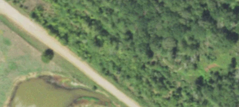 Pollok, TX 75969
