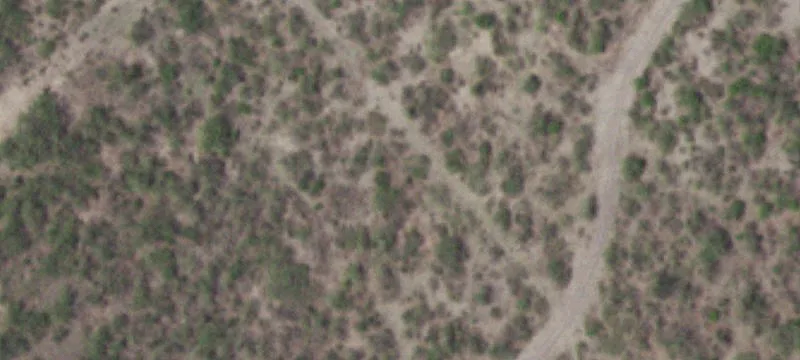 Christine, TX 78012