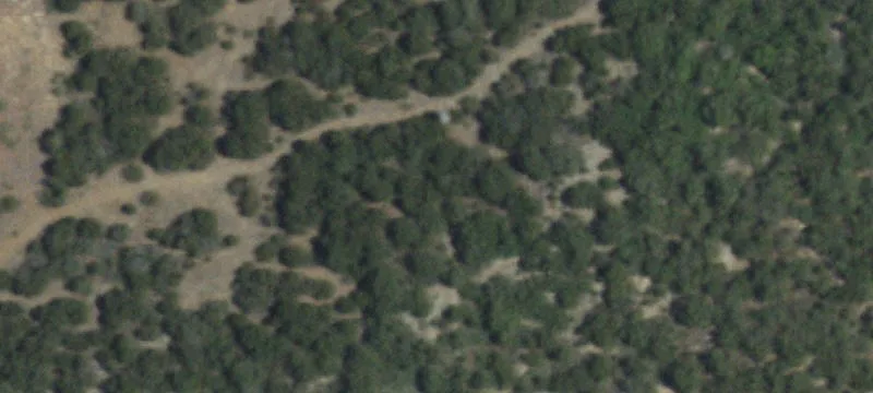 Tuscola, TX 79562