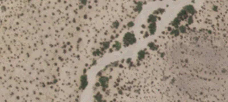 Tornillo, TX 79853