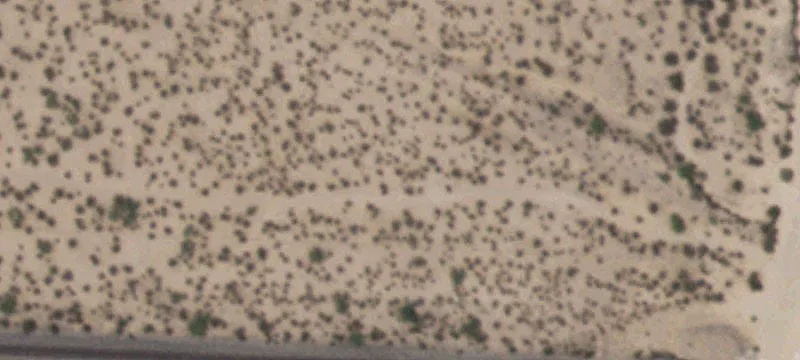 Tornillo, TX 79853