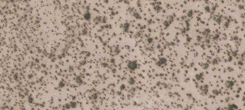 Tornillo, TX 79853