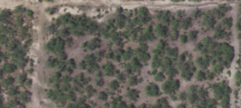 Christine, TX 78012