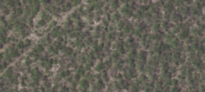 Christine, TX 78012