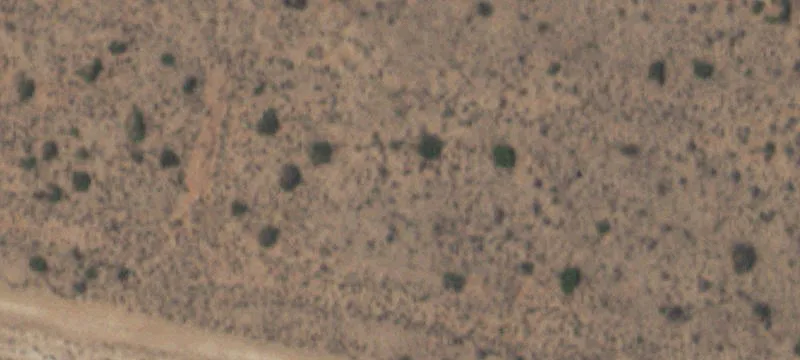 Clint, TX 79836