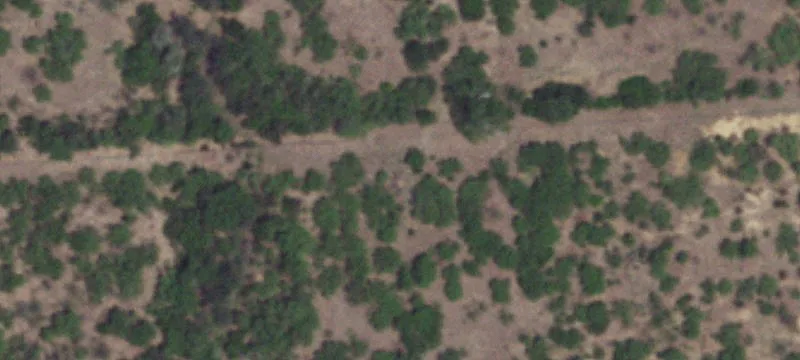 Christine, TX 78012