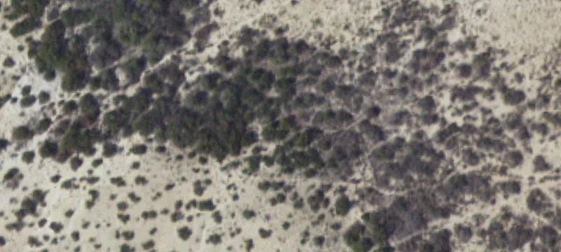 Ozona, TX 76943