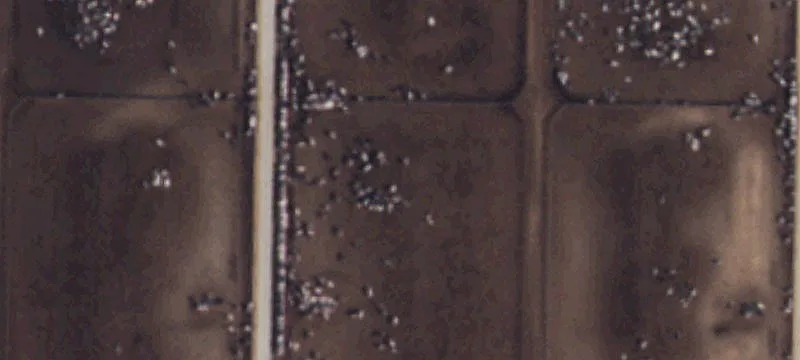 Hart, TX 79043
