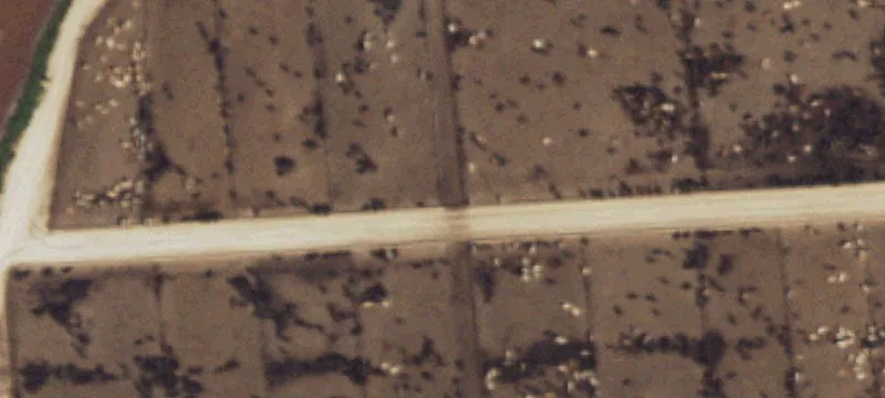 Sunray, TX 79086