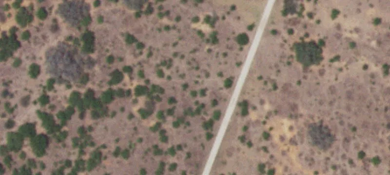 Christine, TX 78012