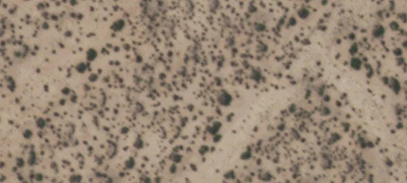 Clint, TX 79836