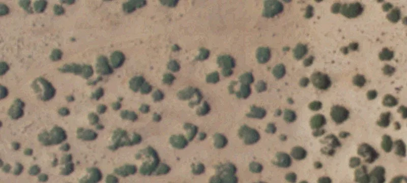 Socorro, TX 79928
