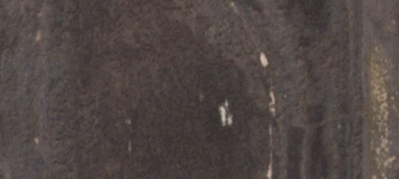 Sudan, TX 79371