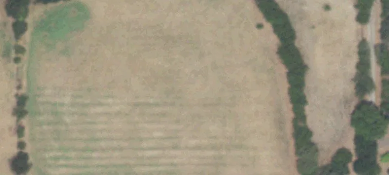 Eustace, TX 75124