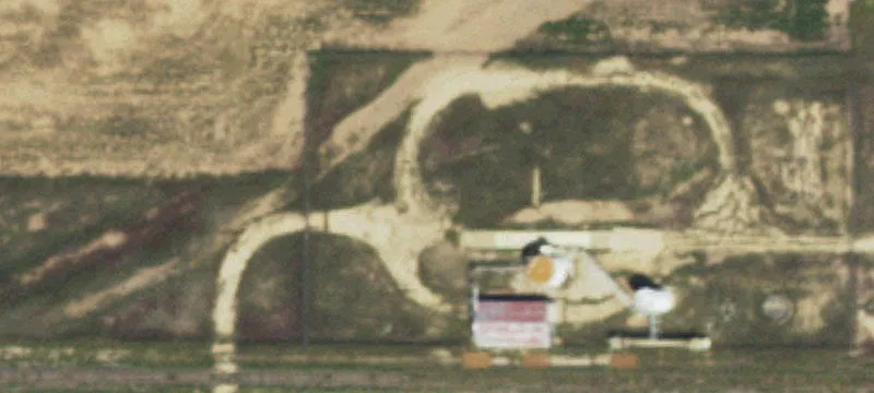 Cactus, TX 79013