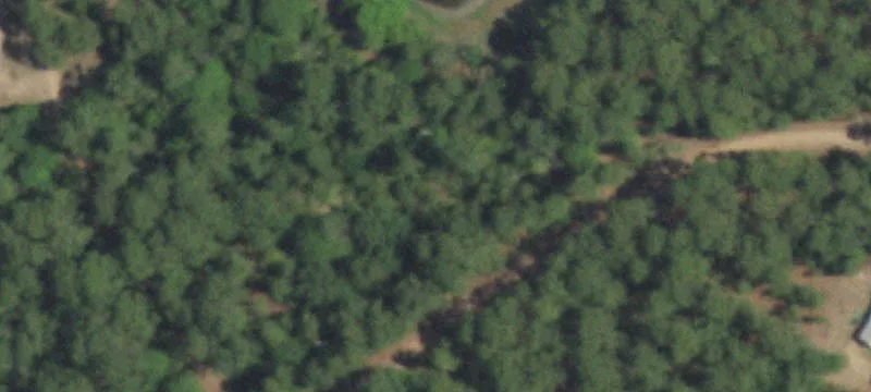 Red Fox Rd At Dhooge Dr
