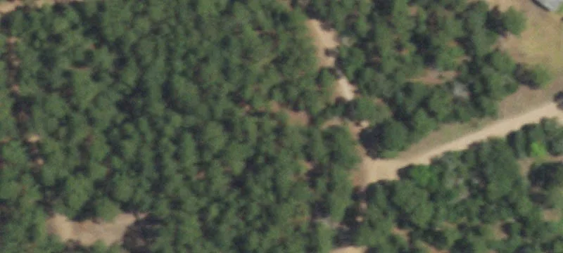 Red Fox Rd