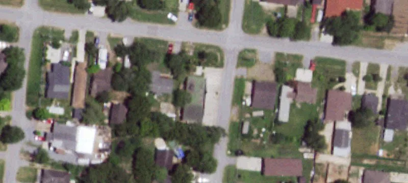 Palmito St