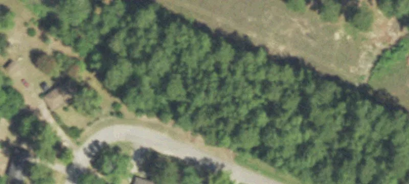 Oak Cir