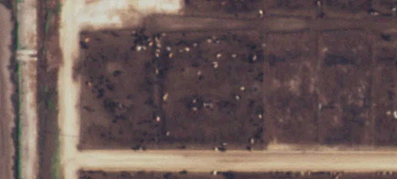 4493 Fm 1062