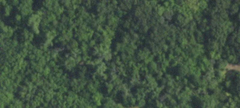 299 Jonah Rd