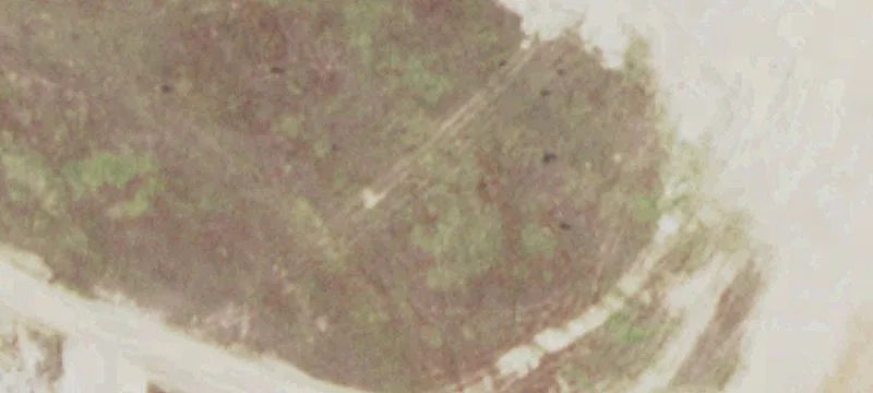 Fm 696, TX