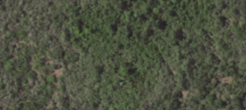 Austwell, TX 77950