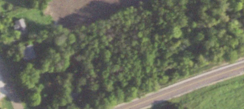 Anderson, TX 77830