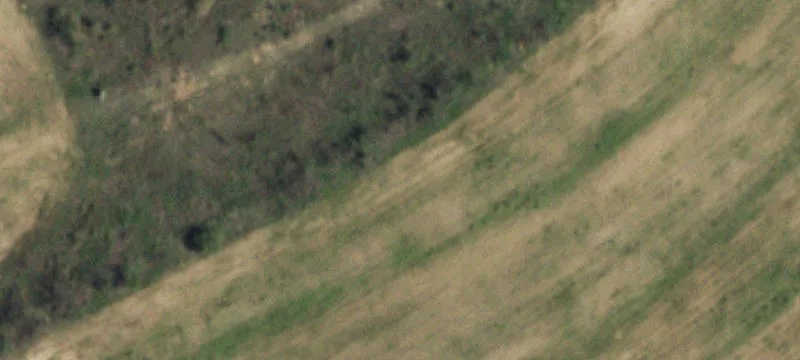 Snyder, TX 79549