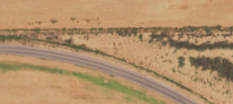 Brownfield, TX 79316