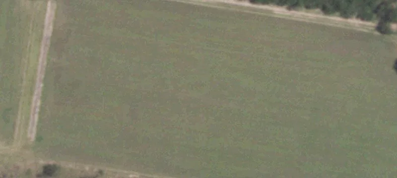 Bentsen Palm Rd