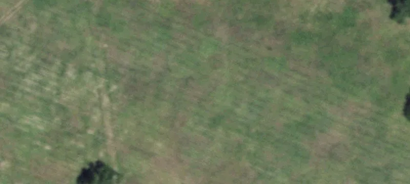 402 County Rd 417a