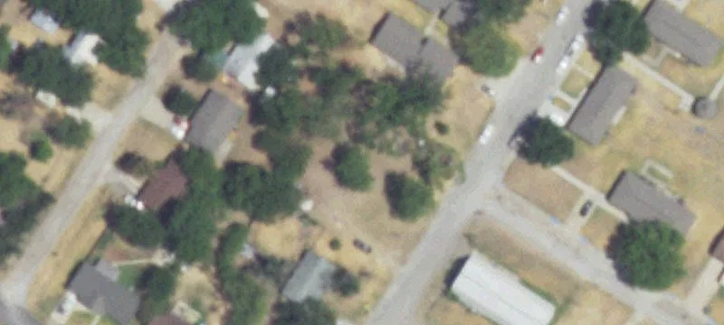 311 Leon St