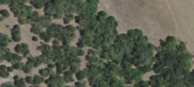 931 Fm 970