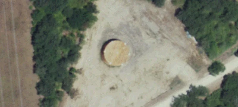 Iola, TX 77861