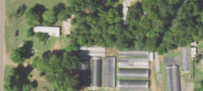 New Summerfield, TX 75780