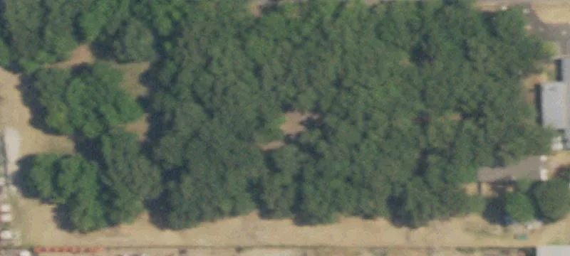 Shelby Rd